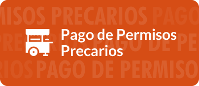 Pago de Permisos Especiales