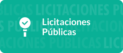 Licitaciones Públicas