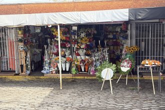IMG_1429.jpg